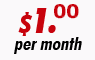 Bronze Hosting - $1.00 per month